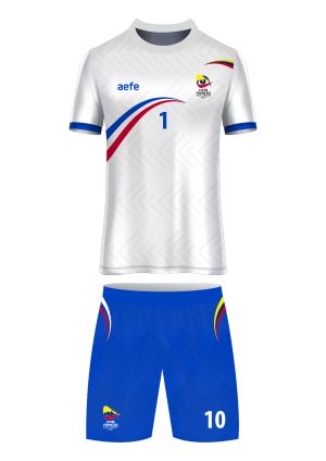 Uniforme de Voleibol Masculino Liceo Francés